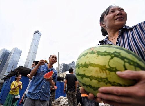 朝阳群众吃瓜入口,吃瓜群众中的“瓜界达人”