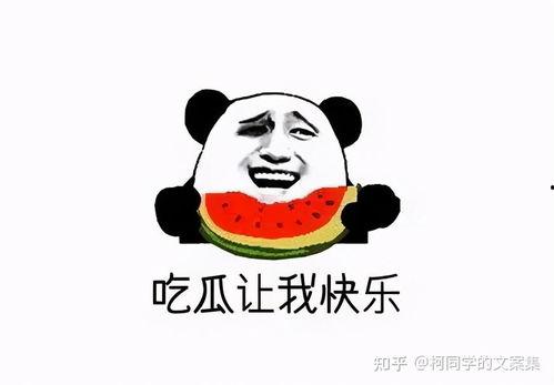 2021年吃瓜汇总,盘点娱乐圈、社会热点中的那些“瓜”
